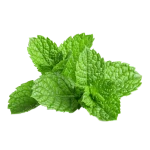 ingredient